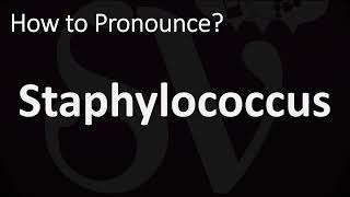 How to Pronounce Staphylococcus CORRECTLY [upl. by Starla]