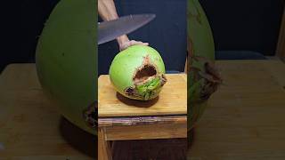 Rat scratch this sweet coconut 🐭  Coconut cutting video asmr satisfying [upl. by Eannyl]