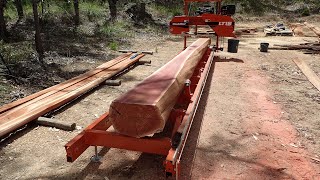 Milling jarrah on a Woodmizer sawmill for a caravan shelter  Ep 29 [upl. by Maynord136]