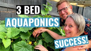 3 Bed Simple Aquaponics System for the Beginner at home to feed the Family [upl. by Malsi]