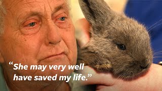 Animal Rescue helps man overwhelmed by 100 beloved rabbits [upl. by Eyanaj]