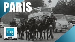 1968  Les ânes dans la circulation parisienne  Archive INA [upl. by Aneeg]