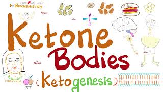 Urine Ketone Bodies  Ketosis and Ketoacidosis  Lab Chemistry [upl. by Silva]