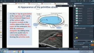 3rd wk of pregnancy  gastrulation  Dr Ahmed Farid [upl. by Fleur]