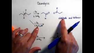 Problem 9 Ozonolysis [upl. by Sink]