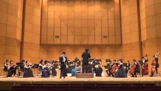 Weber  Clarinet Concert No1 1st movement [upl. by Varuag]