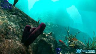 Matrox Parhelia Reef Demo HD [upl. by Gregoor]