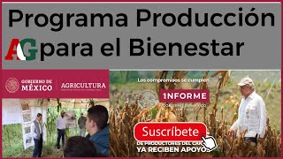 Verificación Del Programa Producción 2022 antes procampo [upl. by Alamak]