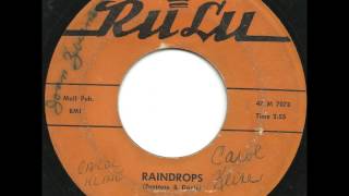 Vernalls  Raindrops  Killer RARE Philly Doo Wop Ballad [upl. by Torin]