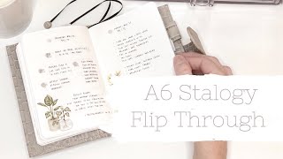 A6 Stalogy May Flip Through  Daily Planner [upl. by Attehcnoc]