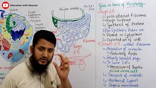 Endoplasmic reticulum  Endoplasmic reticulum structure and function  class 11 [upl. by Tiffany920]