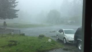 Microburst in Lacey Washington [upl. by Henry]