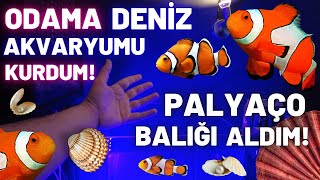 ODAMA DENİZ AKVARYUMU KURDUM PALYAÇO BALIĞI ALDIM KAYIP BALIK NEMO akvaryum akvaryumbalıkları [upl. by Greiner]