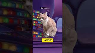 INTENSAMENTE nueva emoción  hambre MEME DE GATOS [upl. by Coit246]