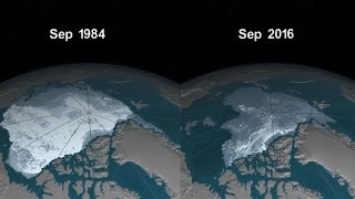 NASA Releases TimeLapse Video Of Depleting Arctic Ice Cap  BOOM [upl. by Avah]