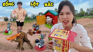 Bạn Rồng Đỏ Đã Lớn Biết Lột Xác và Bộ mô hình mèo đuổi chuột Tom và Jerry tuổi thơ [upl. by Anirehtac]