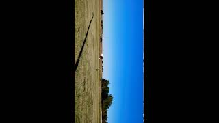 Anvil shoot at Tired Iron Show Larned [upl. by Koren108]