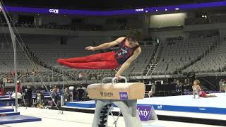 Stephen Nedoroscik  Pommel Horse  2024 Xfinity US Championships  Senior Men Day 1 [upl. by Pricilla]