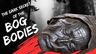 The dark secret of the bog bodies  Tollund man bog body [upl. by Josy]