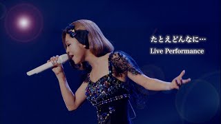 西野カナ『たとえどんなに』 Live Perfomence [upl. by Stevens]