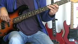 The Nashville Teens  Tobacco Road  Bass Cover [upl. by Atsylak]