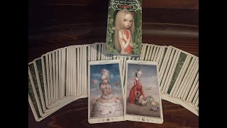 Daily Tarot  Nicoletta Ceccoli Deck  Court of Wands [upl. by Aslam]