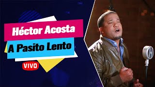 ▷ Héctor Acosta El Torito A Pasito Lento En Vivo  En Vivola [upl. by Nosidda784]