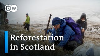 Back to the future Reforesting Scotlands iconic hills  Focus on Europe [upl. by Anibor]