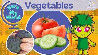 Vegetables for Kindergarten  EYFS [upl. by Yerac]