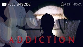 Addiction I Full Documentary I NOVA I PBS [upl. by Jenelle]