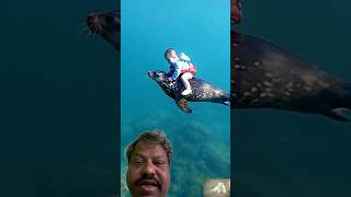 quotAdorable Toddler Rides a Seal UnderwaterAdवेंचर [upl. by Ling]