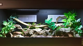 BRAZILIAN RAINBOW BOA CARE AND SETUP [upl. by Yror26]