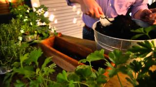 Lining a Garden Window Box with the Amateurs Answer Universal Liner [upl. by Cassella108]