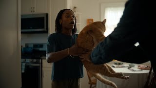 New Cat  Chewy Commercial [upl. by Tnemelc428]