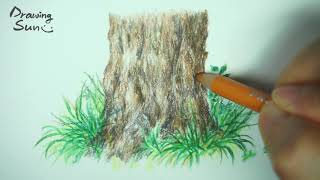 나무와 풀 그리기 색연필 그림 Drawing trees and grass Colorpencil drawing [upl. by Nomis]