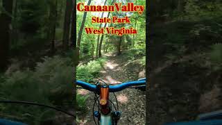 MTB trails at Canaan Valley State Park shorts seniorworkout mtb mountainbikinglife [upl. by Airym]