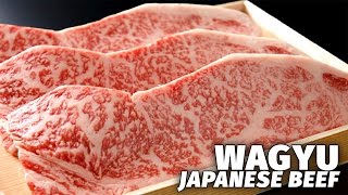 Japans Most Expensive Beef  Wagyu [upl. by Adnofal675]