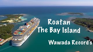 WONDER OF THE SEAS  ROYAL CARIBBEAN  ROATAN HONDURAS  WELCOME DANCE [upl. by Ellecrag706]