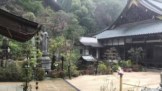 Zen Garden Ambience with Rain Sounds – Japanese Village Temple Sleep Relaxation White Noise [upl. by Stets]