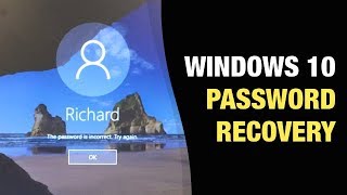 How To Recover Forgotten Password In Windows 11 Tutorial [upl. by Sinnylg472]