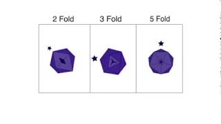 2fold 3fold and 5fold axis of rotation in an icosahedron virus capsid [upl. by Odnalor987]