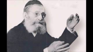 Yankel Talmud  Songs  יענקל תלמוד  שירים [upl. by Notgnimer]