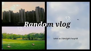 Random mini vlog✈🌳🏙  Chandigarh aesthetic vlog 🤍 [upl. by Leonie379]