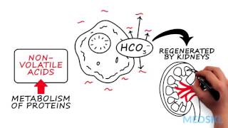 Nephrology – AcidBase Abnormalities By Bernard Unikowsky MD [upl. by Sioled]