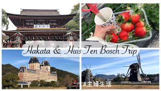 Travel Kyushu Japan Dazaifu Tenmangu Strawberry 🍓 Picking in Fukuoka Huis Ten Bosch in Nagasaki [upl. by Honey810]