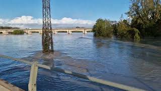 02112023 paurosa piena del fiume tagliamento impressionanti immagini da madrisio di varmo Udine [upl. by Gunning]