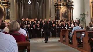 Cantate Domino Jenkins  LAccrocheChoeur  Ensemble vocal Fribourg [upl. by Lledualc977]