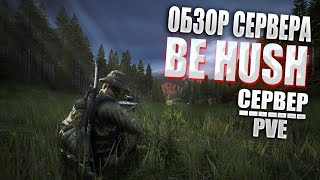 Обзор на PVE сервер BE HUSH I Обзоры серверов Dayz [upl. by Steinberg]