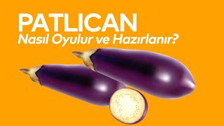 Patlıcan Nasıl Oyulur ve Hazırlanır [upl. by Meghann756]