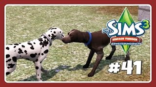 JOY BEKOMMT WELPEN  Lets Play Die Sims 3 Einfach Tierisch Part 41 [upl. by Ettenyl247]